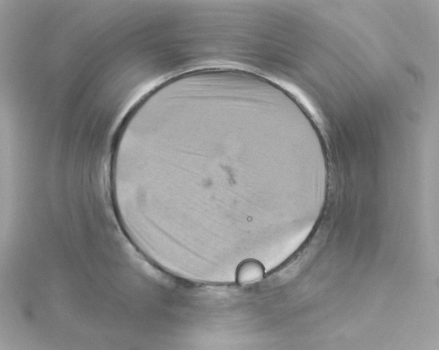 X0000114100910200911161055