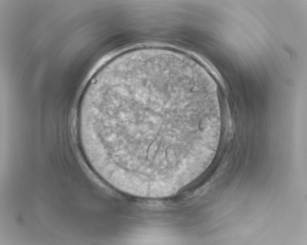 X0000114100911200911161055