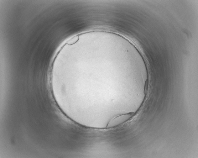 X0000114100912200911161055