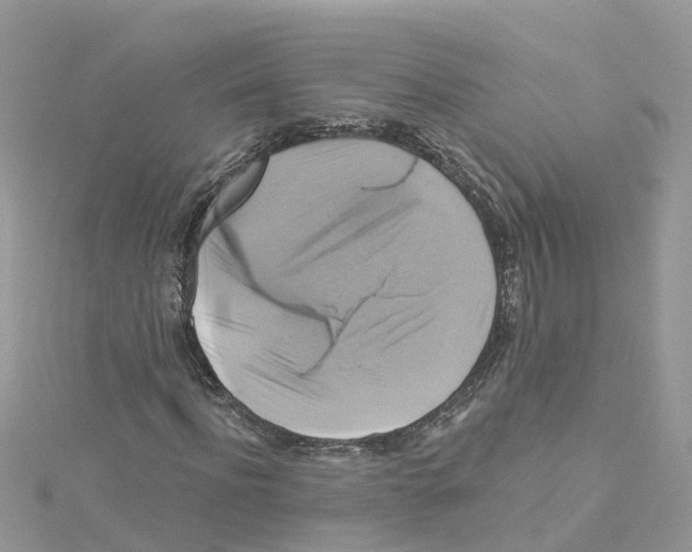 X0000114100916200911161055