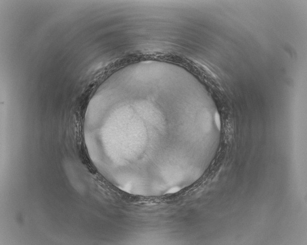 X0000114100917200911161055