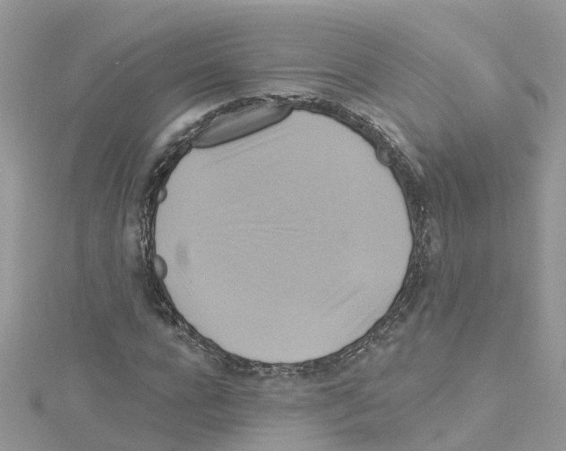 X0000114100920200911161055