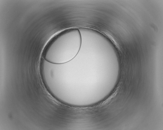 X0000114100924200911161055