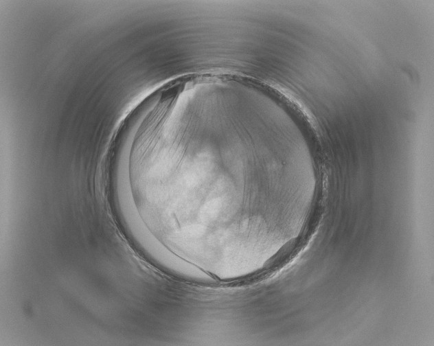 X0000114100925200911161055