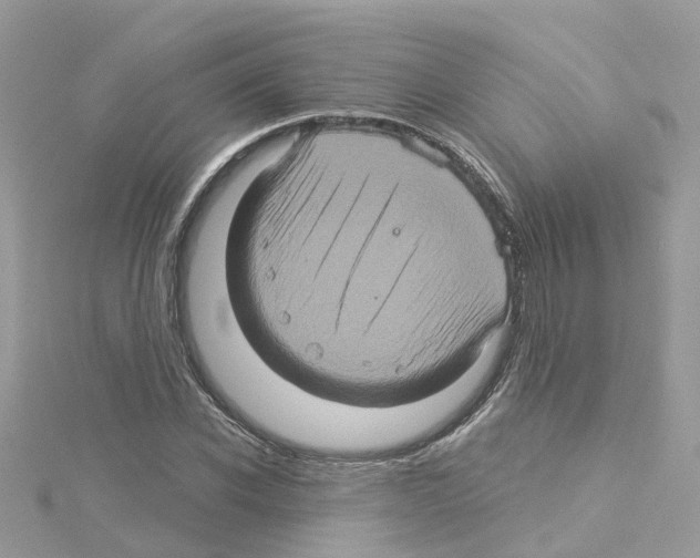 X0000114100926200911161055