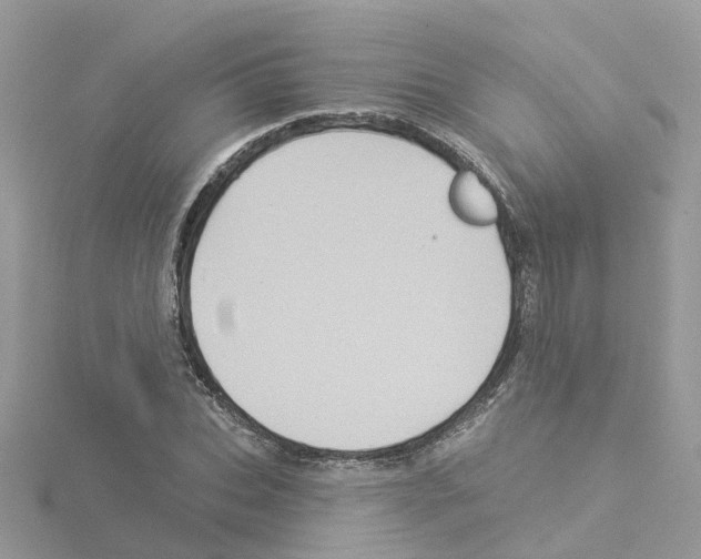 X0000114100927200911161055