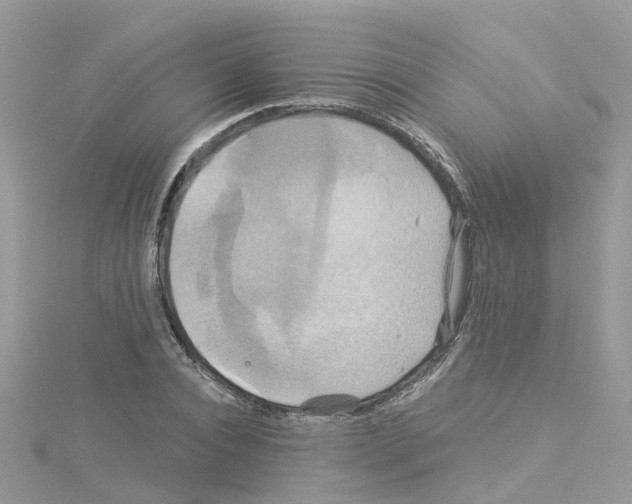 X0000114100928200911161055