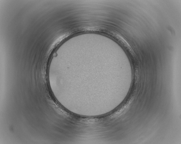 X0000114100930200911161055