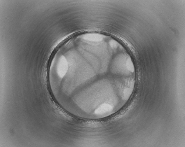 X0000114100933200911161055