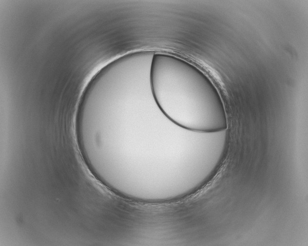 X0000114100936200911161055