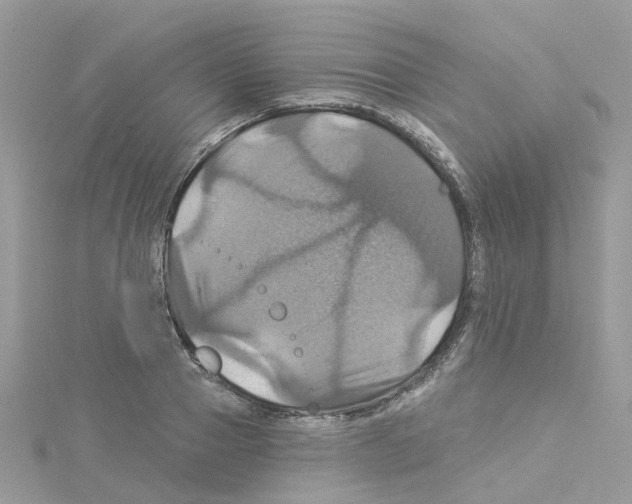 X0000114100937200911161055