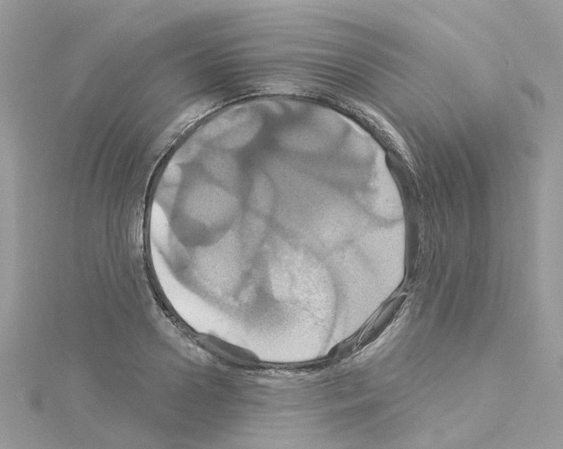 X0000114100938200911161055