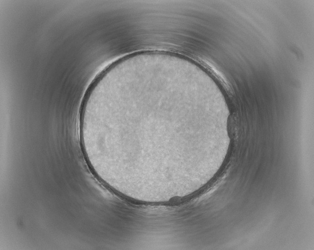 X0000114100940200911161055