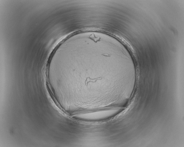 X0000114100941200911161055