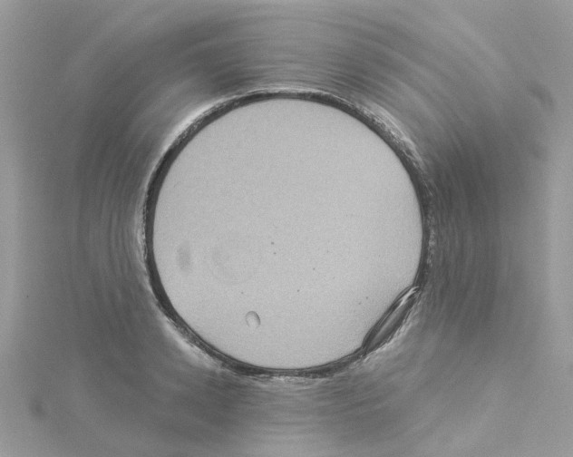 X0000114100942200911161055