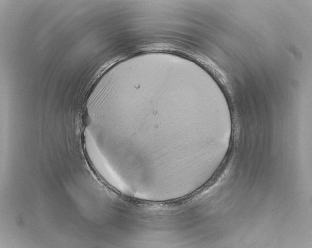 X0000114100945200911161055