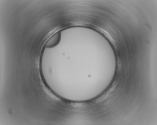 X0000114100946200911161055