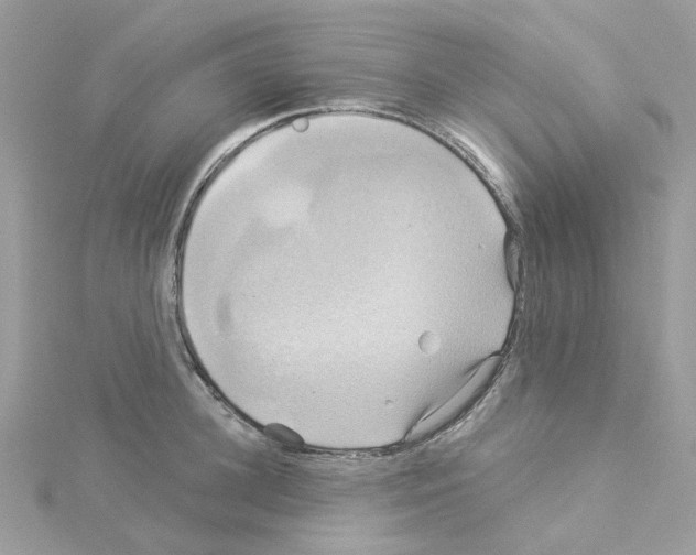 X0000114100948200911161055