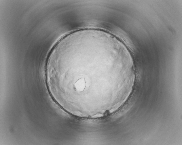 X0000114100950200911161055