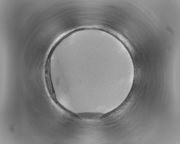 X0000114100951200911161055