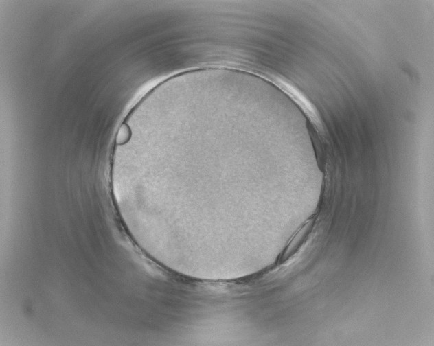 X0000114100956200911161055