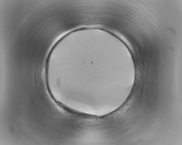 X0000114100959200911161055