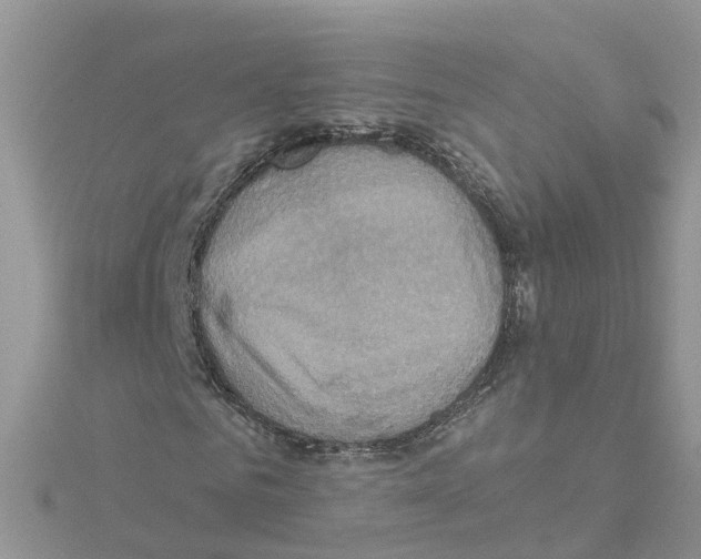 X0000114100961200911161055