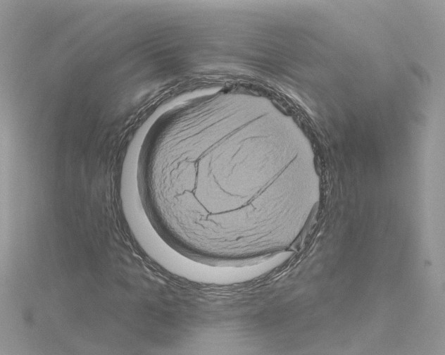 X0000114100965200911161055