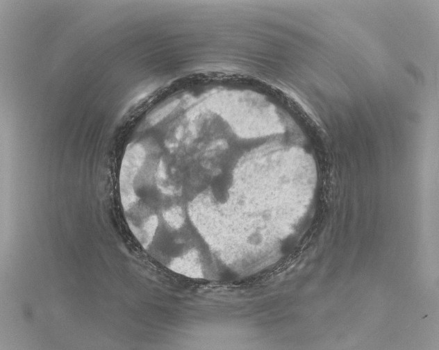 X0000114100967200911161055