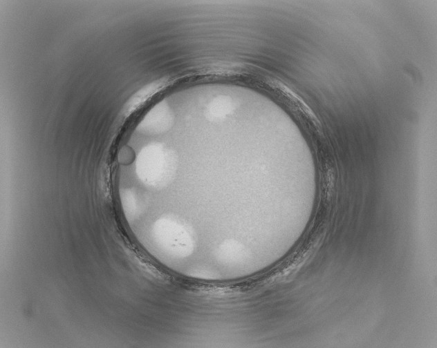 X0000114100970200911161055