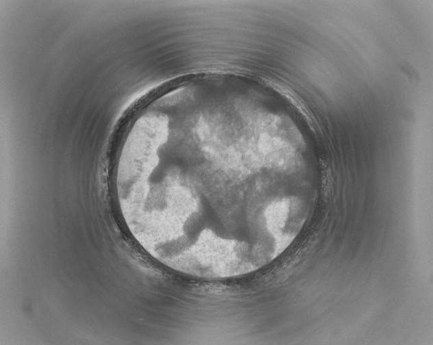 X0000114100971200911161055