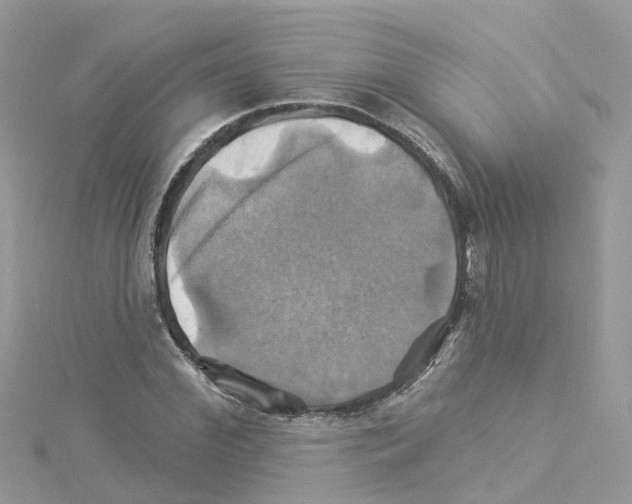 X0000114100972200911161055