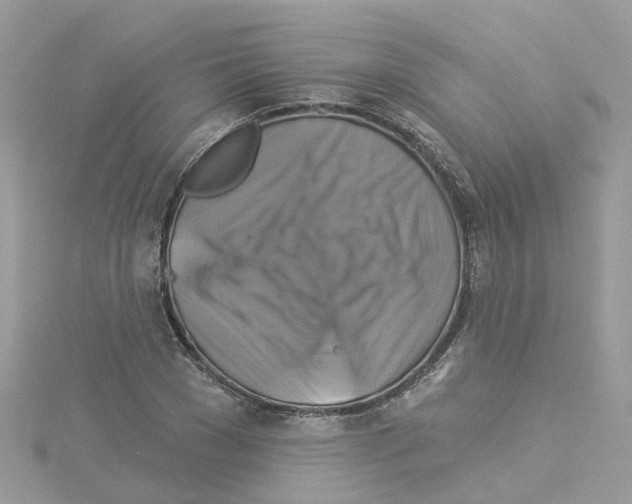 X0000114100977200911161054