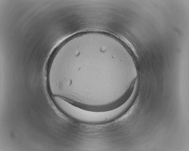 X0000114100981200911161054