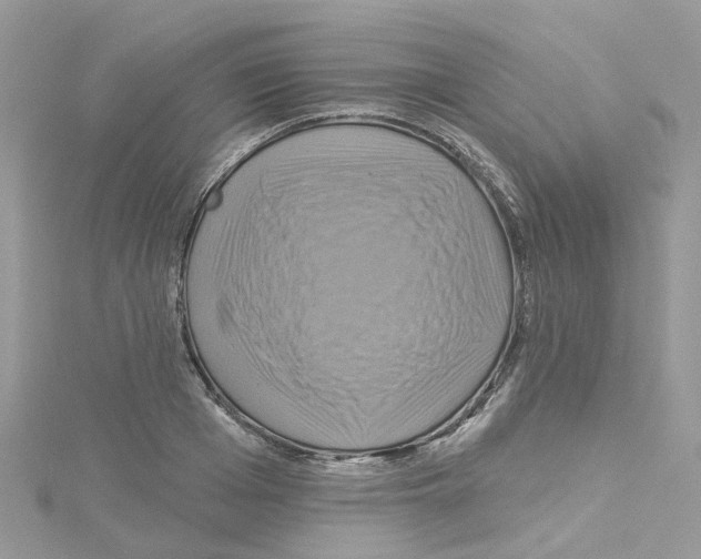 X0000114100985200911161054