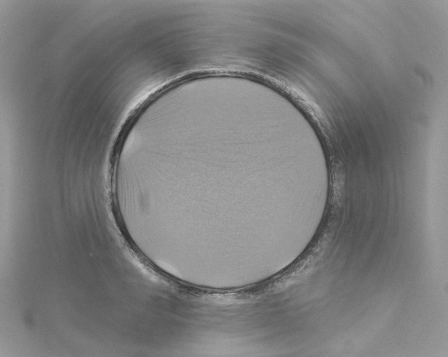 X0000114100990200911161054