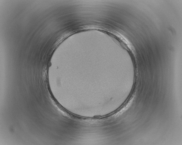 X0000114100993200911161054