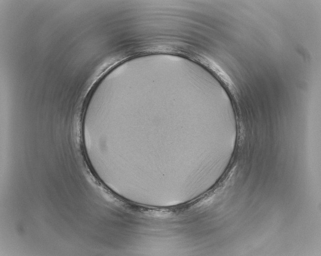 X0000114100994200911161054