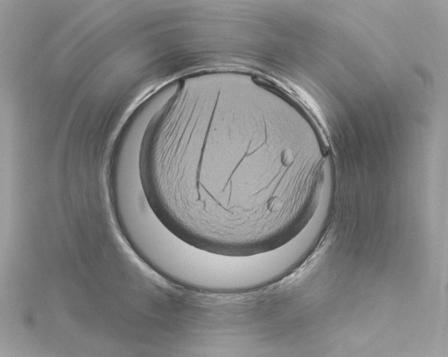 X0000114100997200911161054