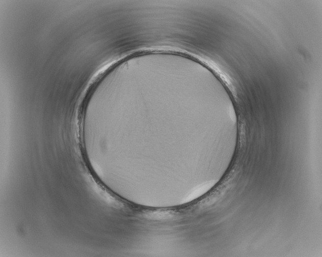 X0000114100998200911161054