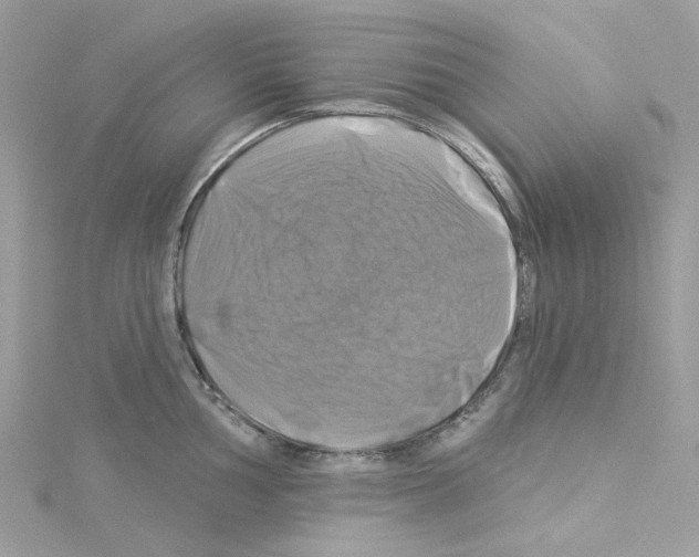 X0000114101002200911161054