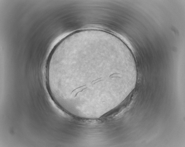 X0000114101003200911161054