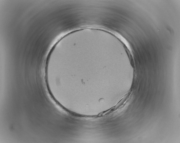 X0000114101005200911161054