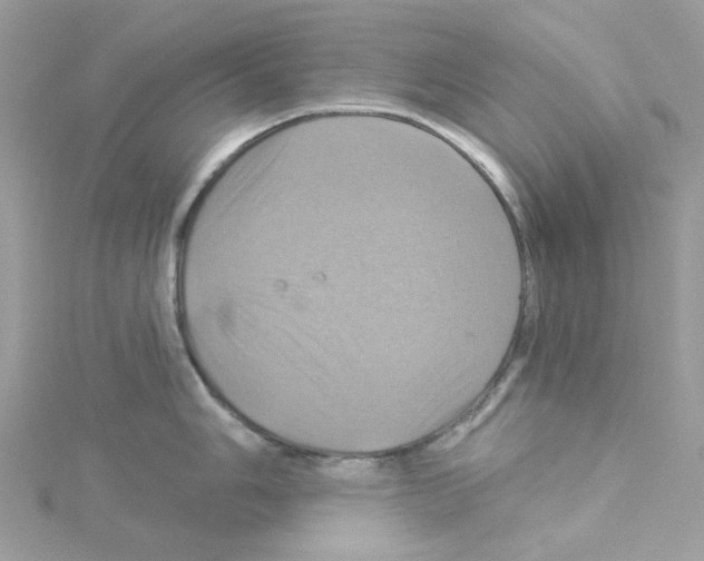 X0000114101006200911161054