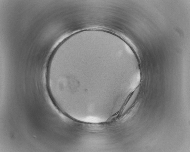 X0000114101007200911161054