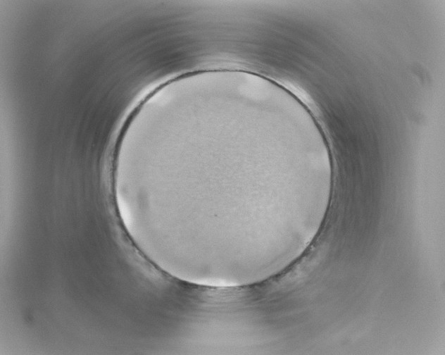 X0000114101008200911161054