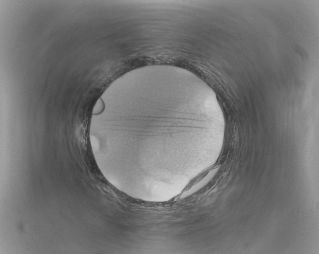 X0000114101010200911161053