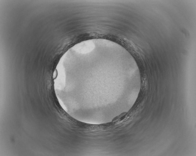 X0000114101012200911161053