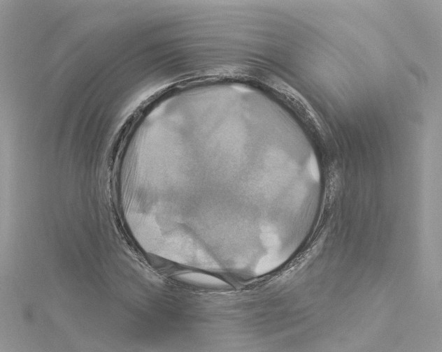 X0000114101019200911161053