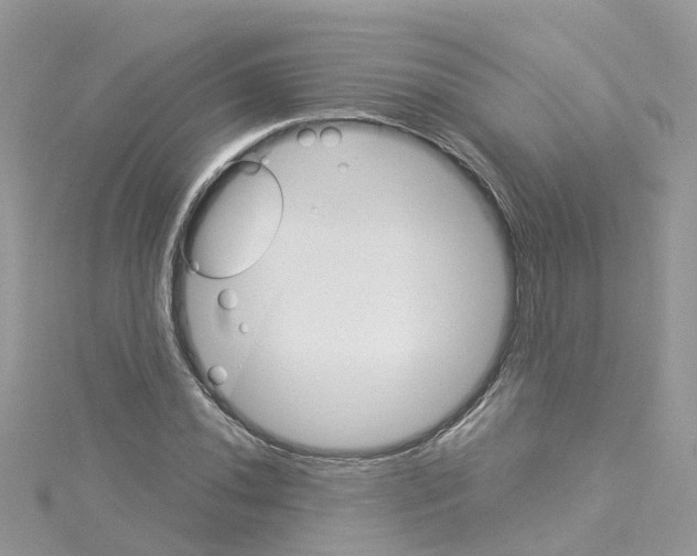 X0000114101020200911161053